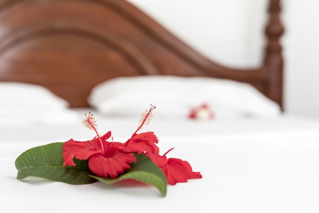 Kite&Active Guesthouse Paje Εξωτερικό φωτογραφία